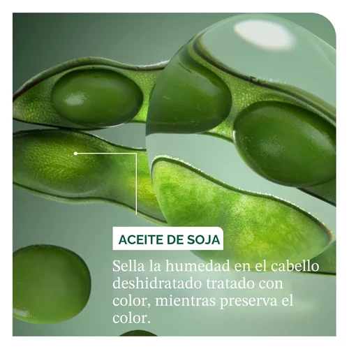 Miniatura 9 de Biolage Color Last Shampoo & Conditioner Set - Helps Protect and Maintain Color-Treated Hair, Hydrates and Adds Shine, Paraben & Silicone-Free, Vegan