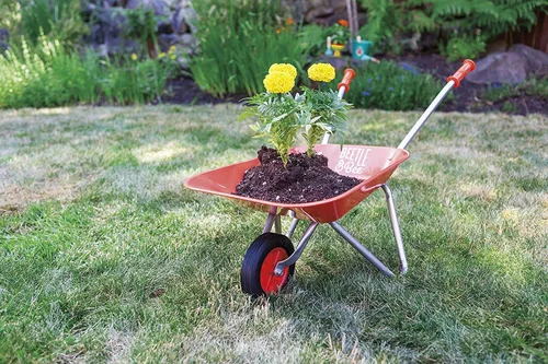 Miniatura 2 de Toysmith Beetle & Bee, Carretilla para niños de 32 pulgadas, certificado FSC, para niños y niñas a partir de 3 años