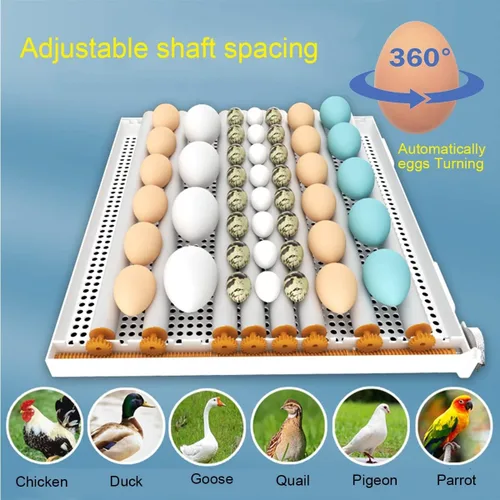 Miniatura 4 de YXCKG Incubadora de huevos Incubadora de pollo para incubar huevos, Encubadora para Huevos De Gallinas Gran Capacidad de 120-145 Huevos Incubadora