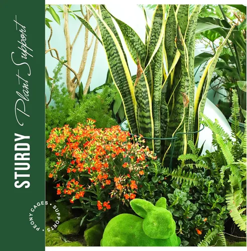 Miniatura 5 de LEOBRO Estacas de soporte para plantas, 4 estacas para plantas, soporte para plantas, jaulas y soportes de peonía, estacas de jardín, estacas