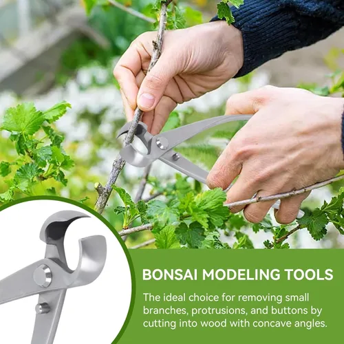 Miniatura 5 de Bonsái Tools - Cortador cóncavo de 7.087 in BonsaiCutters Cortador de ramas Bonsái Tijera de árbol podadora BonsaiTrimmer Herramientas de jardinería