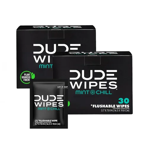 DUDE Toallitas – Toallitas desechables para llevar – Paquete de 2, 60 unidades – Mint Chill Extra Grande envueltas individualmente para adultos –