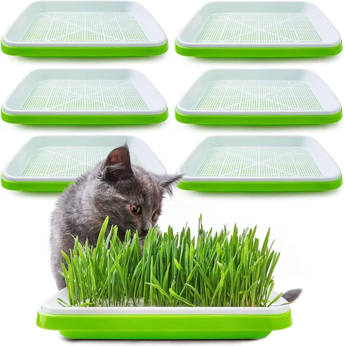 Miniatura 10 de Bandeja de germinación de semillas con orificios de drenaje, bandeja de germinación de semillas sin BPA, bandeja de vivero, gran capacidad sin
