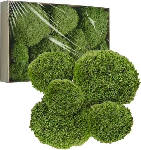 Miniatura 10 de TurelinnG Decoración de musgo preservado, musgo de bosque real, musgo para manualidades, flexible para manualidades, hogar, pared, terrario