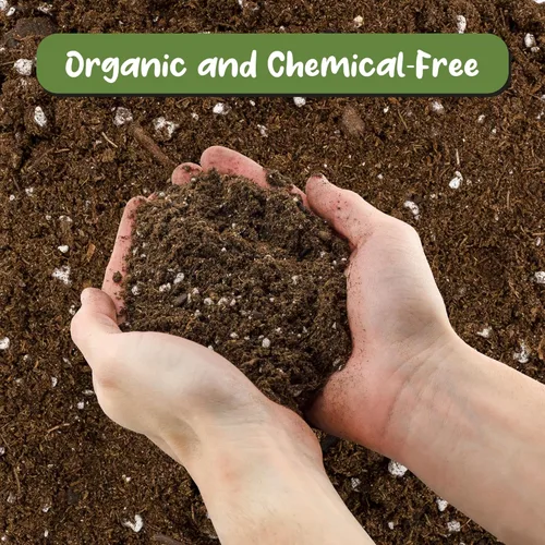Miniatura 3 de Soil Sunrise Mezcla de tierra para macetas de lavanda (8 cuartos de galón) para interiores y exteriores, mezcla de jardinería para plantas