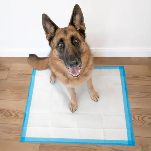Miniatura 5 de Four Paws - Alfombrillas Wee-Wee de rendimiento superior sin fragancia para perros y cachorros, extra grandes, acolchadas a prueba de fugas