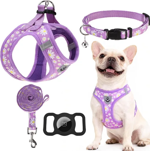 Miniatura 34 de EXPAWLORER Arnés Clásico de Plátanos para Cachorros - Juego de Arnés y Correa para Perros Pequeños - Juego de Collar y Correa para Perros con Azul