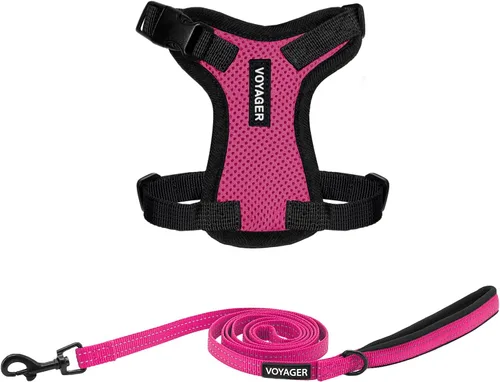 Miniatura 17 de Best Pet Supplies Voyager Step-in Lock - Arnés para mascotas con correa reflectante para mascotas, con mango de neopreno de 5 pies, soporta