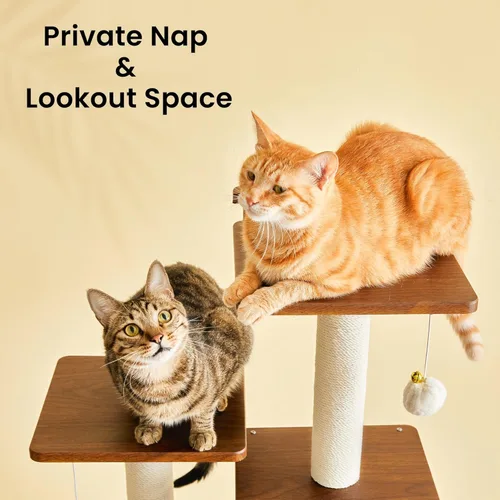 Miniatura 7 de Árbol moderno para gatos de 64 pulgadas, torre para gatos de interior con varios niveles, con 7 postes rascadores completamente envueltos, 2 Marrón