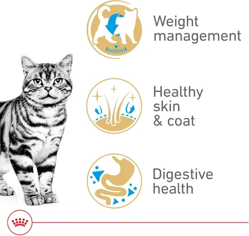 Miniatura 3 de Royal Canin Feline Breed Nutrition American Shorthair - Alimento seco para gatos adultos, bolsa de 5.5 libras