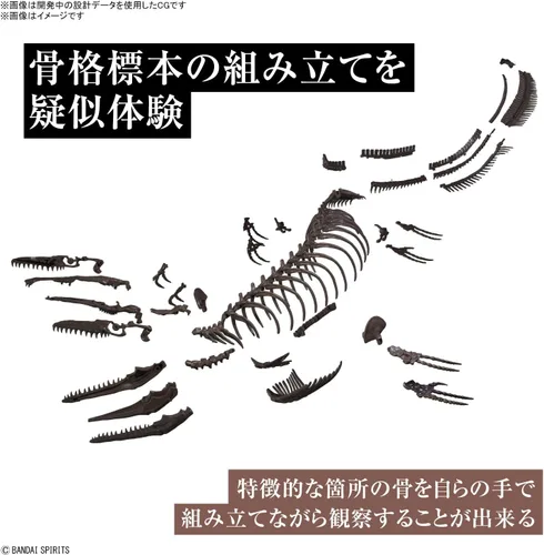 Miniatura 5 de Bandai Hobby Mosasaurus Imaginary Skeleton 1/32 Dinosaur Model Kit