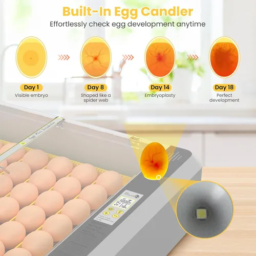 Miniatura 5 de Incubadora de huevos de 36-60 con giro automático de huevos y control de humedad, incubadora de huevos de pollo ajustable con pantalla digital