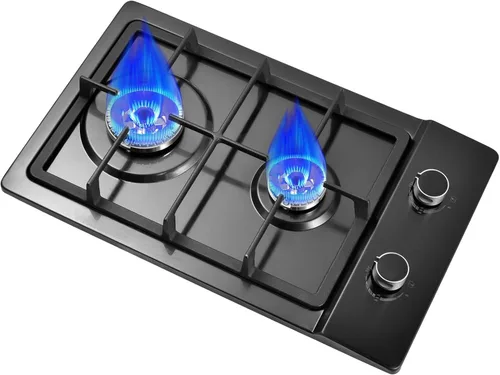 Estufa de gas de 20 pulgadas, estufa de propano de 2 quemadores, placa de cocina de gas integrada de doble propósito de GN/GLP con panel de acero