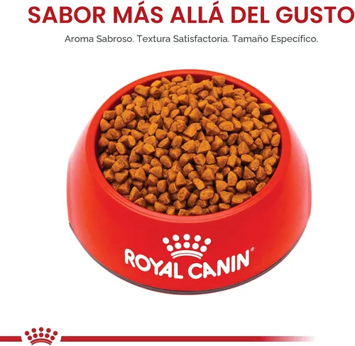 Miniatura 7 de De Royal Canin, Size Health Nutrition, comida seca para cachorros extra pequeños, comida para perros