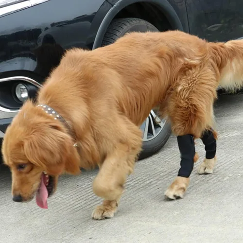 Miniatura 7 de Coderas para perro, cómoda funda elástica ajustable para patas de perro para dejar de lamer, manga protectora de recuperación para perro, soportes