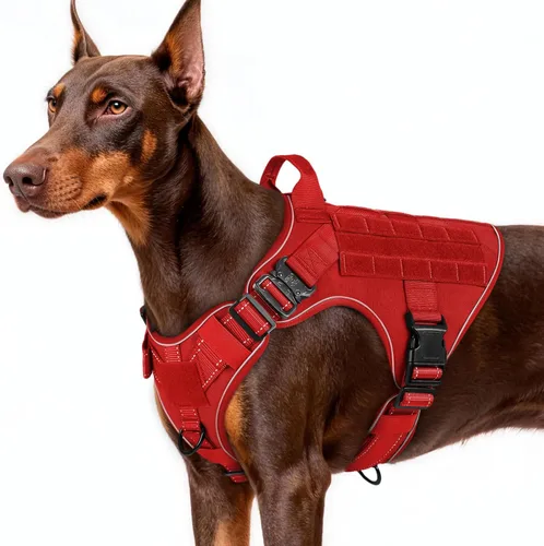 Miniatura 10 de rabbitgoo - Arnés táctico para perros pequeños, arnés resistente para mascotas con asa, chaleco de servicio sin tirones para razas pequeñas, chaleco