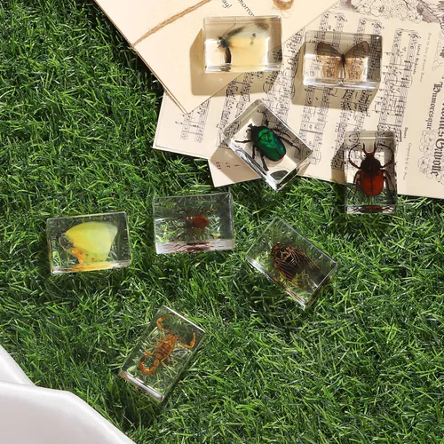 Miniatura 8 de Colección de 12 piezas de insectos en resina, juego educativo de especímenes de insectos para niños, perfecto para preescolar, ciencia de aula
