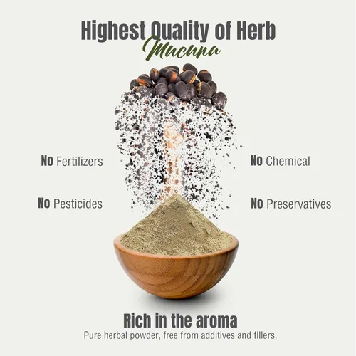Miniatura 6 de Herbsforever Mucuna Pruriens Semilla en polvo 2X Extracto de potencia (2:1) Mezcla de semillas moradas y amarillas, grano de terciopelo, sin OMG