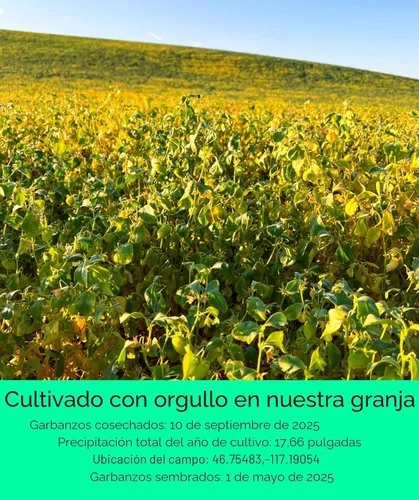 Miniatura 3 de Bolsa de garbanzos, proyecto verificado sin OGM 100% sin irradiadiar Certificado Kosher Parve cultivado en EE.UU. Con rastreo de campo