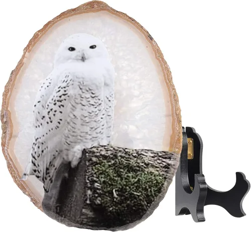 Miniatura 2 de Rockcloud Exhibición de losa de ágata de búho nevado con soporte de madera, forma irregular, ágata, rebanada de piedra, adorno de escritorio