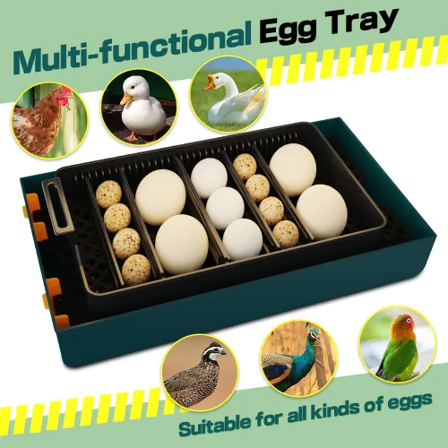 Miniatura 6 de HOWOOIUA - Incubadora automática de 10 huevos para incubar pollos con intervalo de giro de huevos, se puede configurar con pantalla digital e
