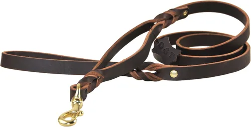 Dean & Tyler Braidy Bunch - Correa para perro con doble asa y herrajes de latón macizo, 6 pies por 3/4 pulgadas, color marrón