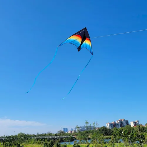 Miniatura 2 de Large Rainbow Delta Kite for Kids & Adults,Single Line Beach Kite for Kids Ages 4-8 & 8-12,Easy to Fly for Toddlers and Beginners