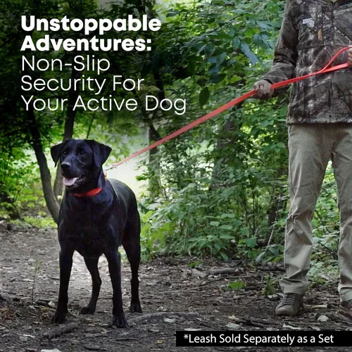 Miniatura 5 de Collar impermeable para perro con anillo central resistente Collar para perros pequeños, medianos, grandes o XL, Anaranjado