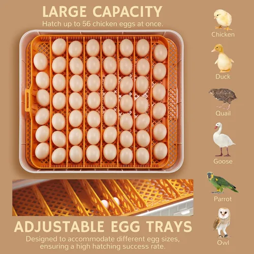 Miniatura 2 de iPettie Nestasy ProHatch56 - Incubadora de huevos con giro automático de huevos y control de temperatura y humedad, capacidad para 56 huevos