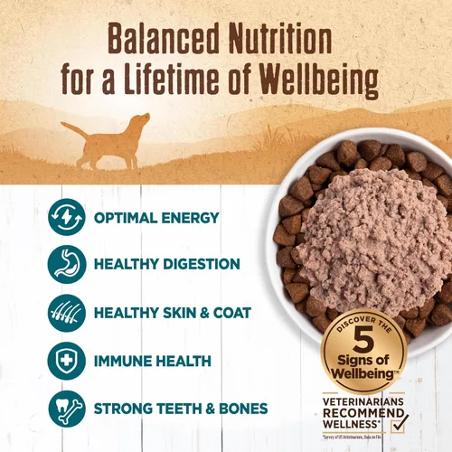 Miniatura 3 de Wellness 95% Whitefish - Alimento húmedo enlatado para perros adultos, sin granos, natural, 13.2 onzas, paquete de 12 latas