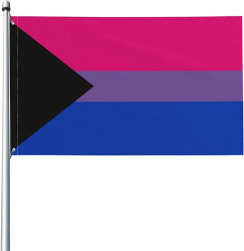 Miniatura 16 de Sapphic - Bandera de orgullo rosa para fiesta de bienvenida al aire libre, decoración exterior para el hogar, casa, jardín, patio, bandera grande