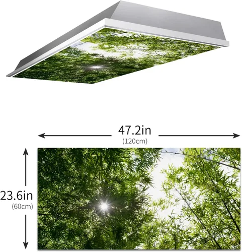 Miniatura 3 de Inserto de Cubierta de Luz de Techo Suspendido 4' x 2' pies (Naturaleza Bosque Hojas de Bambú Sol Verde) - Cubierta de Luz Fluorescente Reduce