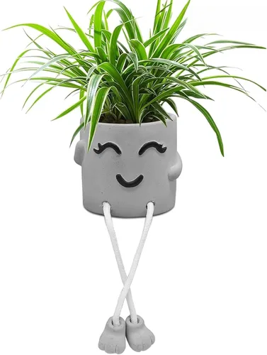 Uguisu 1 pieza de maceta de cemento gris con carita sonriente, maceta pequeña para plantas, maceta para suculentas de interior, maceta divertida con