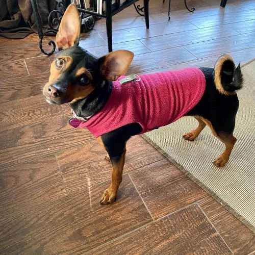 Miniatura 4 de Gooby - Chaleco de tejido polar para perro, ropa de invierno para perros pequeños, para uso en interiores y exteriores Fucsia