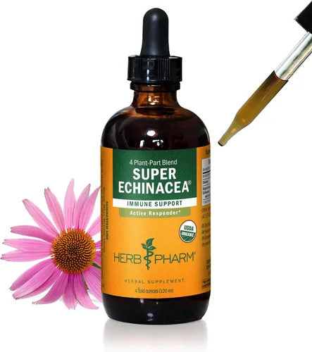 Herb Pharm Extracto Líquido de Súper Equinácea Orgánica Certificada para Apoyo Activo del Sistema Inmunológico - 4 Oz