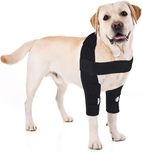Protector de codo para perro, coderas de perro para pierna delantera para alivio elástico de tumores de efusión, callos, edema, displasia, úlceras