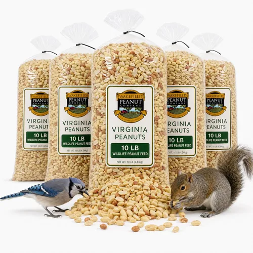 Miniatura 12 de Wakefield - Cacahuetes Virginia prémium para ardillas, arrendajos azules y vida silvestre, bolsa de 6 libras, recogidos a mano, crudos, sin sal