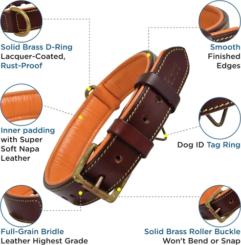 Miniatura 3 de Collar de perro de cuero para perros medianos, marrón, 1 pulgada de ancho, cuero genuino de grano completo, resistente con acolchado interior suave
