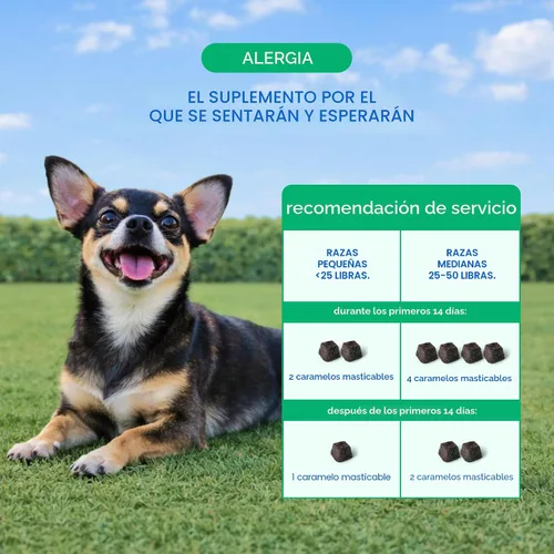 Miniatura 5 de Native Pet - Masticables para alergias para perros – Alivio de la alergia de perros para razas medianas – Apoya el alivio de la picazón estacional