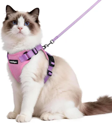 Miniatura 37 de rabbitgoo Juego de arnés y correa para gatos, arnés a prueba de escapes para paseos seguros al aire libre, chaleco suave transpirable ajustable