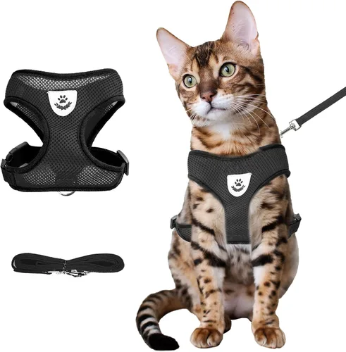 Shudyear Arnés y Correa para Pecho de Gato de Verano, Arnés y Correa de Malla Suave Ajustable Anti-Escape para Todos los Tipos de Gatos Chalecos