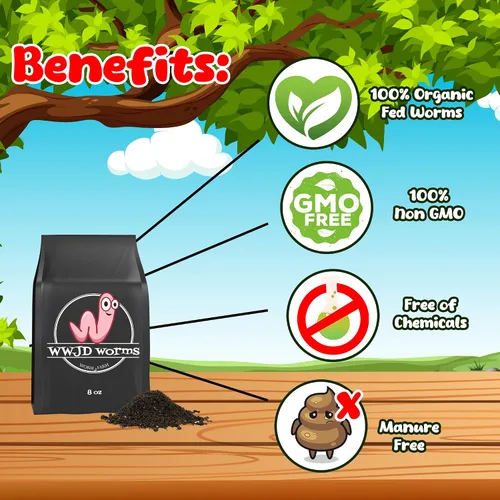 Miniatura 6 de Fundición de gusano orgánico para plantas de 8 onzas – Vermicast de gusanos rojos para compostaje – Enmiendas del suelo y tierra de jardinería