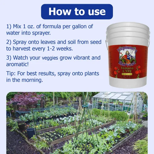 Miniatura 4 de Neptune's Harvest Fertilizante orgánico para plantas de tomate y verduras (2-4-2) – Alimento líquido para plantas con pescado fresco, algas marinas