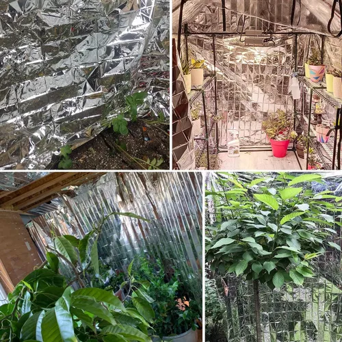 Miniatura 6 de Paquete de 12 láminas de Mylar reflectantes plateadas, hojas de aluminio para cubierta de invernaderos de jardín, hojas de película Mylar de 83 x 52