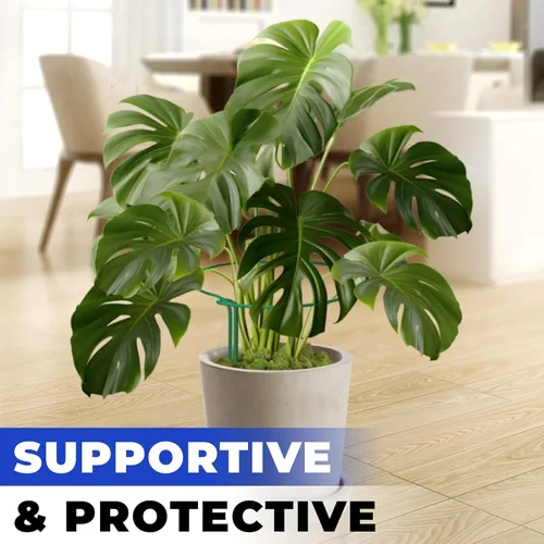 Miniatura 6 de Estacas altas de soporte para plantas para interiores y exteriores, jaulas y soportes de peonía, anillo de jaula para plantas para flores en maceta