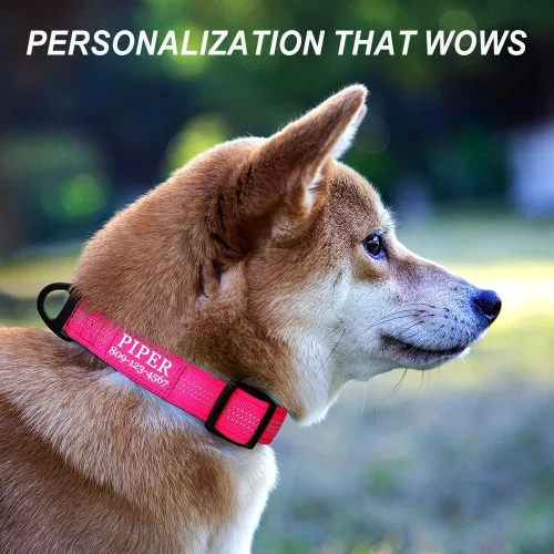Miniatura 2 de Collares de perro personalizados con nombre y número de teléfono, hebilla de metal duradera, collar de nailon reflectante acolchado de neopreno