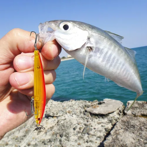 Miniatura 9 de Señuelos de pesca, señuelo grande y duro Minnow VIB con gancho de agudos Life-Like Swimbait Fishing Bait Popper Crankbait Vibe Sinking Señuelo