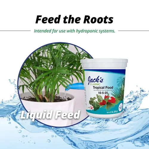 Miniatura 7 de Jack's Classic 16-5-25 Fertilizante soluble en agua para alimentos tropicales con micronutrientes para un fuerte crecimiento exuberante, 1.5lbs