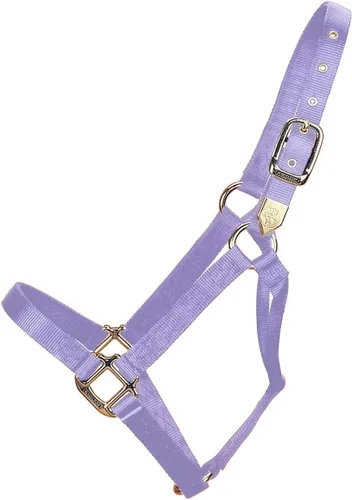 Miniatura 10 de Hamilton Caballo de nailon de 1 pulgada, tamaño pequeño (500-800 libras), azul baya