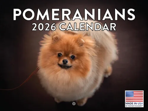 Miniatura 36 de Calendario de pared mensual 2025 Great Dane de 12 meses, fabricado en Estados Unidos